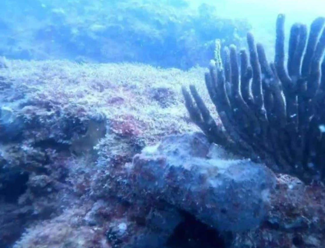 Proyectan nuevo arrecife artificial frente a costas del sur