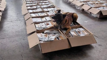 Binomio detecta más de una tonelada de cocaína en AICM