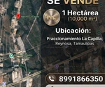 VENTA: 10,000 M2 