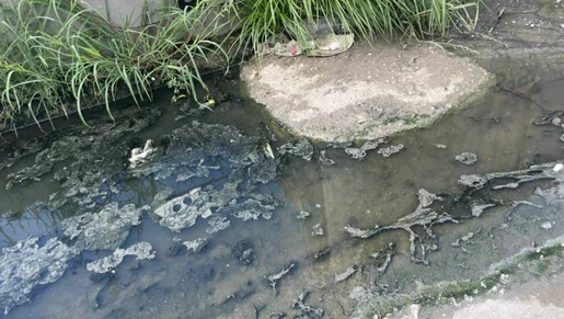 Fugas de aguas negras provocan insalubridad en Reynosa