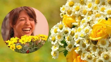¿Por qué este 21 de septiembre se regalan flores amarillas?