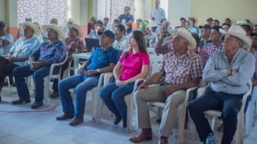 Promueven análisis de suelo para rescate de la citricultura