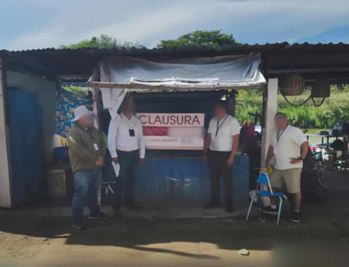  Clausuran negocio en Tampico por vender carne de cocodrilo