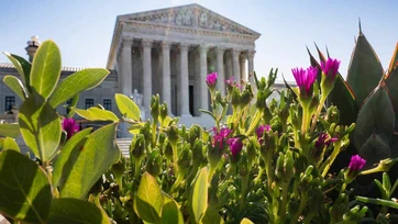 La Corte Suprema de EEUU permite a los estados usar base federal para verificar la elegibilidad de votación