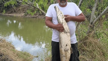 Captura catán de 14 kilos