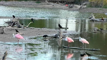 Preocupa bajo nivel de agua en El Laguito