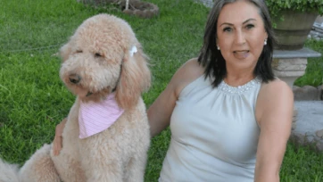 Amor canino