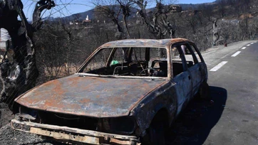 Argelia aprueba pena de muerte por incendios forestales y secuestro