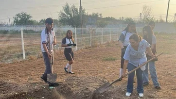 Arman estudiantes proyecto de composta