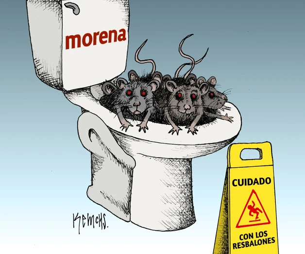 Área de limpieza