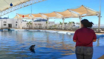 Profepa visita Delfinario Sonora tras muerte del ejemplar