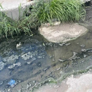 Fugas de aguas negras provocan insalubridad en Reynosa