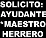 SOLICITO; MAESTRO HERERRO