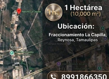 VENTA: 10 000