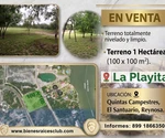 TERRENO 1HECTÁREA (10