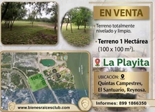 TERRENO 1HECTÁREA (10