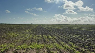 Insuficientes las lluvias para el nuevo ciclo agrícola