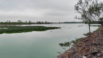  Saturan con desechos drenes de laguna La Escondida