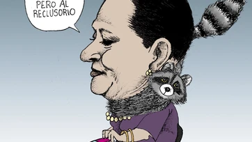 Manejos turbios