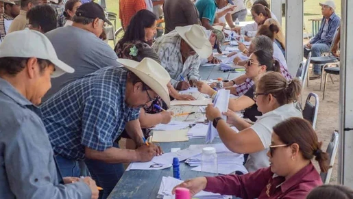 Destina Tamaulipas 60 mdp para productores de sorgo y trigo